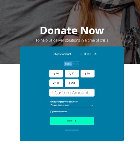 10 Best Donation Form Examples to Improve Your Giving Experience Stuffed Salmon, Donation Form, Donor Wall, Form Example, Donation Page, Fundraising Campaign, Digital Wallet, Donate Now, Financial Information