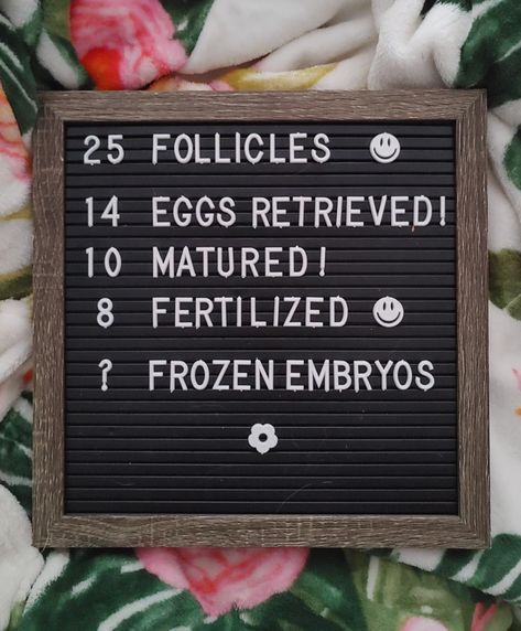 Egg Retrieval Day Letter Board, Egg Retrieval Ivf Letter Board, Ivf Board Ideas, Ivf Letterboard Ideas, Ivf Photoshoot, Ivf Baby Announcement, Ivf Timeline, Ivf Egg Retrieval, Ivf Twins