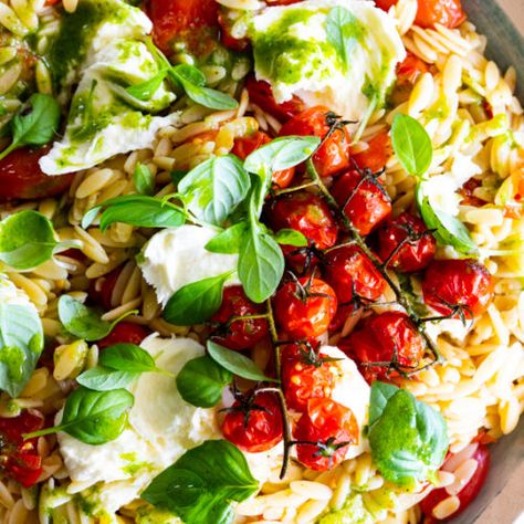 Warm orzo salad with roasted tomatoes, mozzarella and basil - Simply Delicious Warm Orzo Salad, Orzo Tomato, Yum Salad, Pasta Entrees, Stomach Rumbling, Orzo Dishes, Tomato Mozzarella Basil, Salad Appetizer Cups, Orzo Salad Recipes