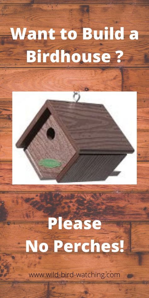 One Board Birdhouse Plans, Bird Boxes Diy Projects, Wren House Plans How To Build, Wren House Plans, Easy Diy Birdhouse, Birdhouse Patterns Free Bird House Plans, Diy Birdhouse Easy, Bird House Painting Ideas Simple, Building Bird Houses