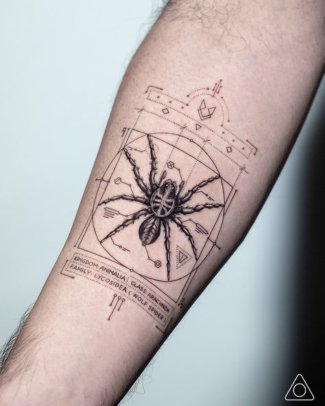 Line Geometric Tattoo, Fine Line Geometric Tattoo, Divine Masculine Energy, Geometric Animal Tattoo, Anatomy Tattoo, Wolf Spider, Geometric Wolf, Web Tattoo, Insect Tattoo