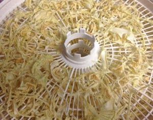 Dehydrating Onions In Dehydrator, Canning Onions, Dehydrate Onions, Foodsaver Ideas, Dehydrator Ideas, Dehydrated Recipes, Dried Onions, Dehydrating Recipes, Dehydrating Food Storage