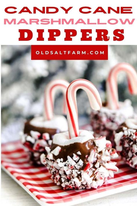 Dipped Candy, Dipped Marshmallows, Chocolate Dipped Marshmallows, Marshmallow Dip, Chocolate Covered Marshmallows, Gluten Free Christmas, Marshmallow Pops, Chocolate Marshmallows, Hot Chocolate Bars