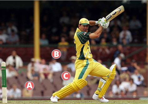 Steve Waugh, Cricket Time, Cricket Coaching, Indian Team, Ricky Ponting, Champions Trophy, Latest Cricket News, Test Cricket, Rugby League