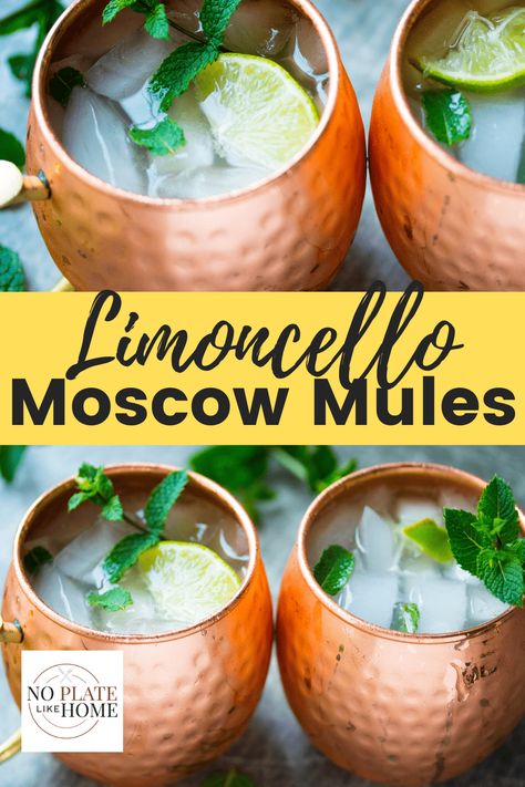 Mule Cocktails, Limoncello Drinks, Limoncello Cocktails, Limoncello Recipe, Moscow Mule Cocktail, Moscow Mules, Mule Cocktail, Cocktail Drinks Alcoholic, Boozy Drinks