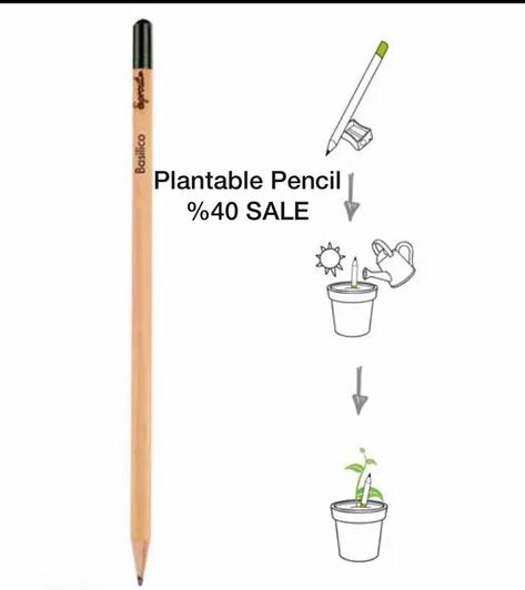 Plantable Pencil, Seed Pencil, Let Love Grow, Personalized Pencils, Baptism Favors, Christening Gifts, Eco Friendly Gifts, Christening, Wedding Favors