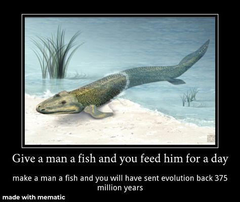 Stop! You missed your chance pal! If you see a horrid beast evolving, push it back in | Tiktaalik | Know Your Meme