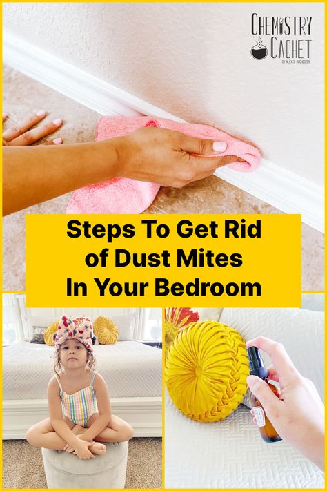 Check out our step by step guide to get rid of dust mites in your bedroom. You probably have them and don't even know! Dust Mites How To Get Rid Of, Dust Mite Spray, Dust Mite Allergy, Kids Allergies, Laundry Tips, Clean Bedroom, Cleaning Spray, Bed Bugs, Laundry Hacks