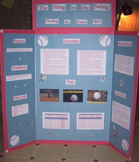 Science Projects about Baseball Bats Science Fair Topics, Bats Science, Science Fair Display Board, Science Fair Board, Baseball Project, Science Fair Projects Boards, Science Experiments Kids Elementary, Science Fair Project Ideas, Science Project Ideas