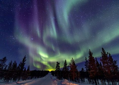 Finland Landscape, Northern Lights Landscape, Finland Winter, Finnish Lapland, Snow Trees, Northern Light, Aurora Borealis Northern Lights, Meteorology, Landscape Lighting