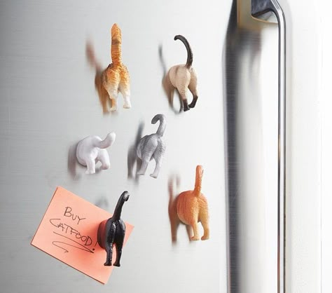 gift idea for cat lady Magnetic Force, Fridge Door, Cat Tail, Kitchen Humor, Dog Stuff, Diy Clay, Crazy Cat Lady, Decoration Design, Crazy Cats