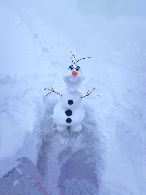 Real life Olaf snowman from Frozen Real Snowman, Snowman Real, Frozen Snowman, Olaf Snowman, Winter Fun, Olaf, Real Life, Frozen, Craft Ideas