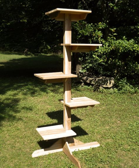 Outdoor Cat Tree, Cat Tree Plans, Several Cat, Cat Tree House, Diy Cat Tree, Outdoor Cat Enclosure, Tree Plan, Cat Towers, Cat Tree Condo