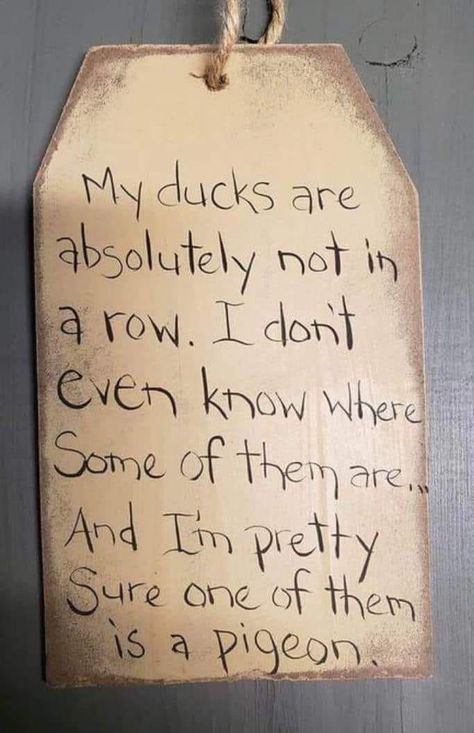 Ducks In A Row, Christmas Duck, Spiritual Meaning, Pigeon, Pretty Flowers, Ducks, The Row, Funny Quotes, Funny Memes