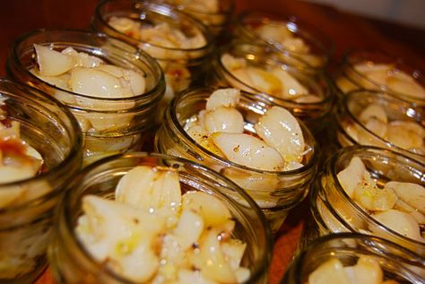 Canning Roasted Garlic, Oven Roasted Garlic, Hardneck Garlic, Pressure Canning, Canning Recipes, Roasted Garlic, Summer Garden, Pacific Northwest, Garlic