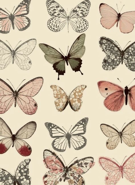 Decorate My Room, Butterfly Wallpaper, New Wall, Ipad Wallpaper, Butterfly Tattoo, Beautiful Butterflies, Surface Pattern, Wall Collage, Pretty Pictures