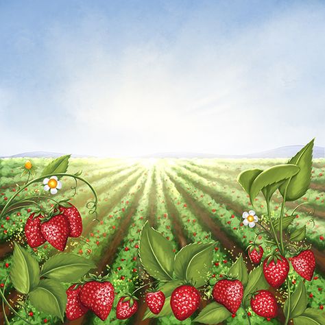 Illustration by Julie Sneeden Strawberry Patch Drawing, Strawberry Field Drawing, Strawberry Fields Drawing, Strawberry Field, Strawberry Garden Drawing, Strawberry Field Painting, Strawberry Fields Painting, Strawberry Field Illustration, Strawberry Bush Painting