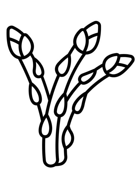 Asparagus - Lol Coloring Pages Asparagus Drawing, Lol Coloring Pages, Lol Coloring, Art Coloring Pages, Outline Art, Easy Drawing, Asparagus, Easy Drawings, Coloring Pages