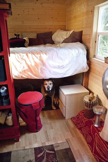 suko & jerry, stwerads of sarana park, live in two "tiny houses" (one for sleeping, one for entertaining/cooking) connected by a covered portico. Big Dog Bed, Human Bed, Bed Height, High Bed, Elevated Bed, Bunk Beds With Stairs, Tiny Cabins, Sleeping Loft, Three Dogs