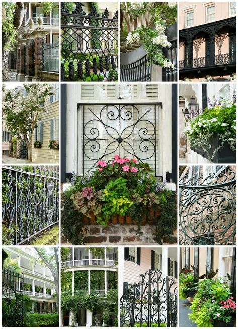 Charleston Gates, Estilo Charleston, Garden Front Of House, Charleston Gardens, Charleston Vacation, Violet Garden, Palmetto Tree, Small Courtyard Gardens, Window Box Flowers