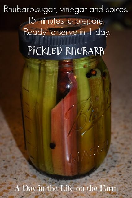 Pickled Rhubarb Recipes, Rhubarb Pickles, Pickled Rhubarb, Rhubarb Desserts Recipes, Pickled Ramps, Making Dill Pickles, Zucchini Pickles, Lemon Pickle, Pickle Recipes