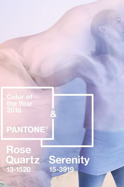 Pantone Sparkling Grape, Pantone Powder Blue, Pink Cosmos Pantone, Pantone Rose Quartz Serenity, Digital Lavender Pantone, Pantone Serenity, Pantone 2016, Iphone Wallpaper Photography, Rose Quartz Serenity