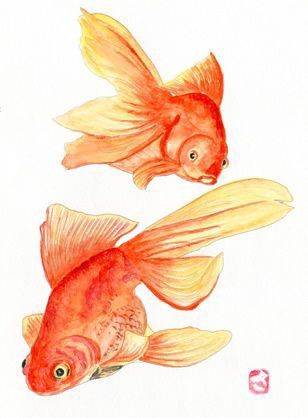 Goldfish Watercolor, Pretty Fish, One Fish Two Fish, Golden Fish, Library Art, Two Fish, Fish Drawings, One Fish, Chinese Painting