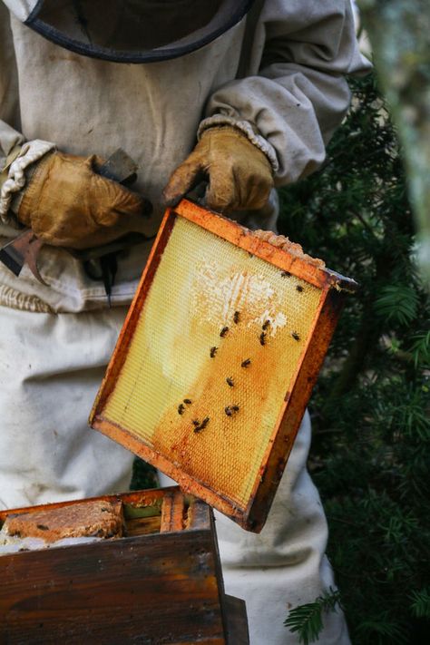 Beekeeper Aesthetic, Beekeeping Aesthetic, Bee Smoker, 2025 Moodboard, Langstroth Hive, Top Bar Hive, Beekeeping For Beginners, Book Edits, Beekeeping Equipment