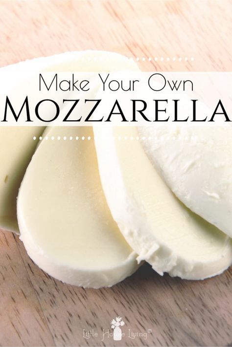 How to Make Homemade Mozzarella Cheese - How to Make Mozzarella Cheese Homemade Soft Cheese, Mozarella Homemade How To Make, How To Make Homemade Cheese, Make Mozzarella Cheese, Homemade Mozzarella Cheese, Recipes With Mozzarella Cheese, Mozzarella Recipe, Cheese Recipes Homemade, Homemade Mozzarella