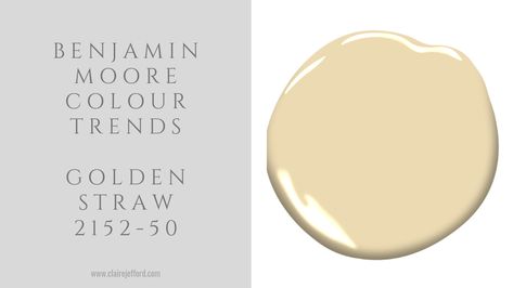 Benjamin Moore Colour of the Year 2020 – Claire Jefford Benjamin Moore Golden Straw, Benjamin Moore Thunder, Warm Neutral Paint Colors, Benjamin Moore Blue, Paint Color Guide, Yellow Paint Colors, Paint Palettes, Choosing Paint Colours, Front Door Paint Colors