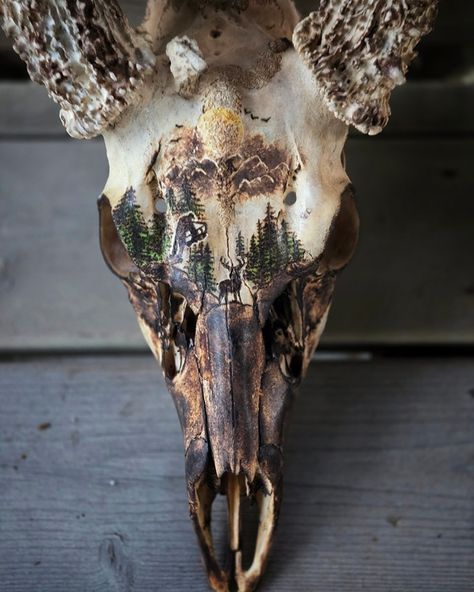 I can't believe my friend trusted me with this! 😱 I learned that burning on bone is an absolute bxtch! 🤣 #hunting # hunter #deerskull #skull #deerskullart #deerhunter #deerhunting #bowhunting #deerscene #huntingart #burning #pyro #pyrography #colwood #colwoodburner Deer Skulls Decorated, Bone Burning Art, Deer Skull Design, Painting On Deer Skull, Painted Bison Skull, European Deer Mount Ideas Girly, Hand Painted Deer Skull, Elk Skull Art, Painted Deer Skulls Ideas