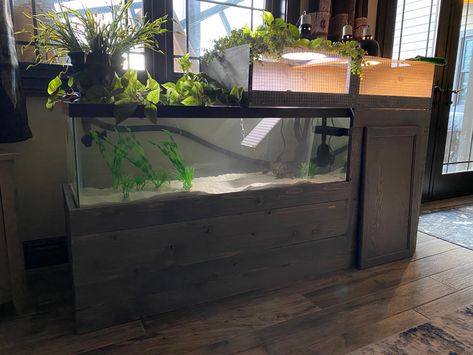 Red Eared Slider Turtle Habitat Diy, Red Eared Slider Turtle Habitat Outdoor, Red Ear Slider Turtle Tank Ideas, Aquatic Turtle Tank Ideas, Red Eared Slider Turtle Habitat, Red Ear Slider Turtle Habitat, Turtle Tank Setup Ideas, Diy Turtle Basking Platform Above Tank, Red Eared Slider Tank