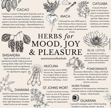 Genuine Selection on Instagram: "Try to incorporate these phenomenal herbs into your daily life ✨ Every single herb mentioned is a potent ally that is classically coined as an aphrodisiac 🔥 but they are so much more than just sexy boosters, they literally arouse your spirit, open your heart, fire up creativity and fertilize your psyche ✌️👍 For example try their Heirloom Cacao, Schisandra Rose Elixir, Mucuna Dopamine Bean Power, Blue Lotus Tea, and many more amazing products from @animamundiher Herbs For Mood, Witch Info, Herbal Preparations, Mind Expansion, Ancient Remedies, Herbal Education, Medical Herbs, Magic Herbs, Magical Herbs