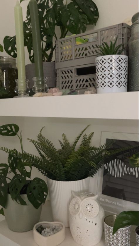 Green White Room Aesthetic, White Room Green Plants, Green Plants Aesthetic Room, Green Leaves Room Decor Aesthetic, Green Aesthetic Room, Green Room Aesthetic, Sage Green Bedroom Aesthetic Indie, Room Ideas Aesthetic Plants Indie, Green And White Bedroom