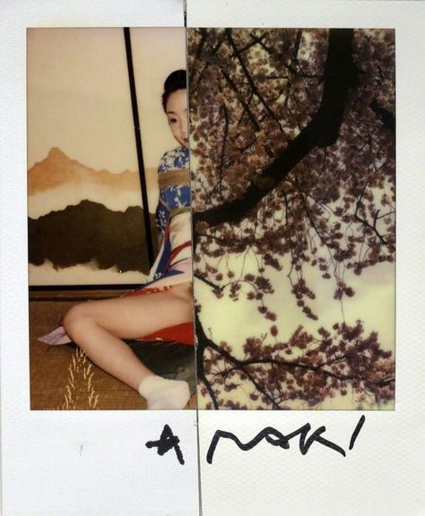 Araki Photography, Asian Editorial, Seni Korea, Nobuyoshi Araki, Black Pin Up, Polaroid Photography, Japanese Castle, Study Photography, Human Form