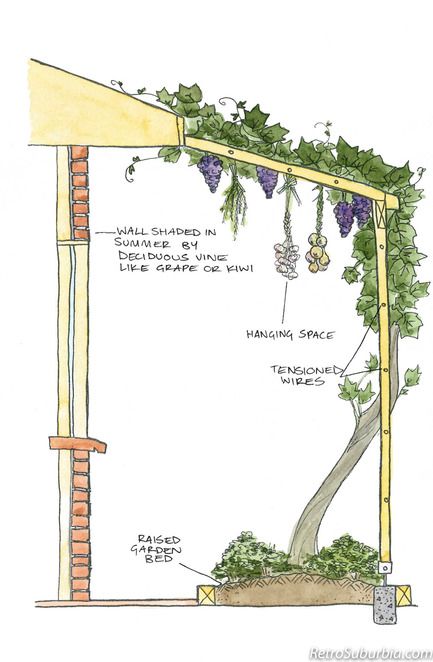 Shade Design, Permaculture Gardening, Permaculture Design, Have Inspiration, Food Garden, Veggie Garden, Garden Cottage, Farm Gardens, Edible Garden