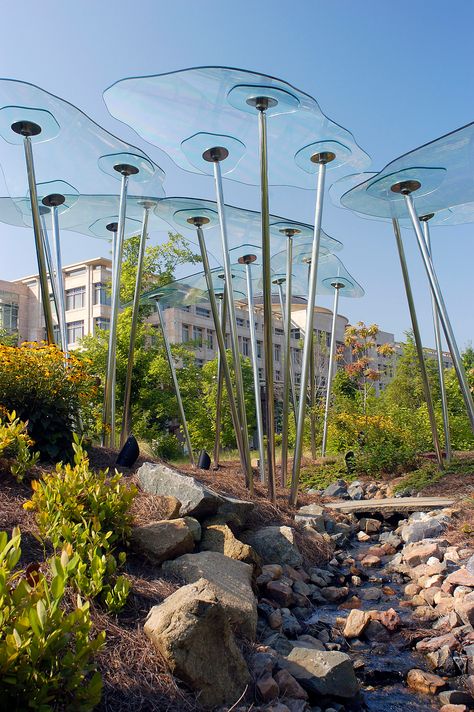 Glass Forest is inspired by the artist’s interest in the projection and transmission of light and pattern and the desire to create a place of quiet contemplation on this corporate campus. The landscape plan of the site provided inspiration for the creation of a small stand of abstracted trees that create patterned light on the ground. When the viewer looks through the glass, leaves and branches above are magnified and distorted in a magical style. Artistic Tree, Glass Landscape, Tree Abstract, Light Art Installation, Wind Art, Leaves And Branches, Landscape Elements, Glass Tree, Landscape Plan