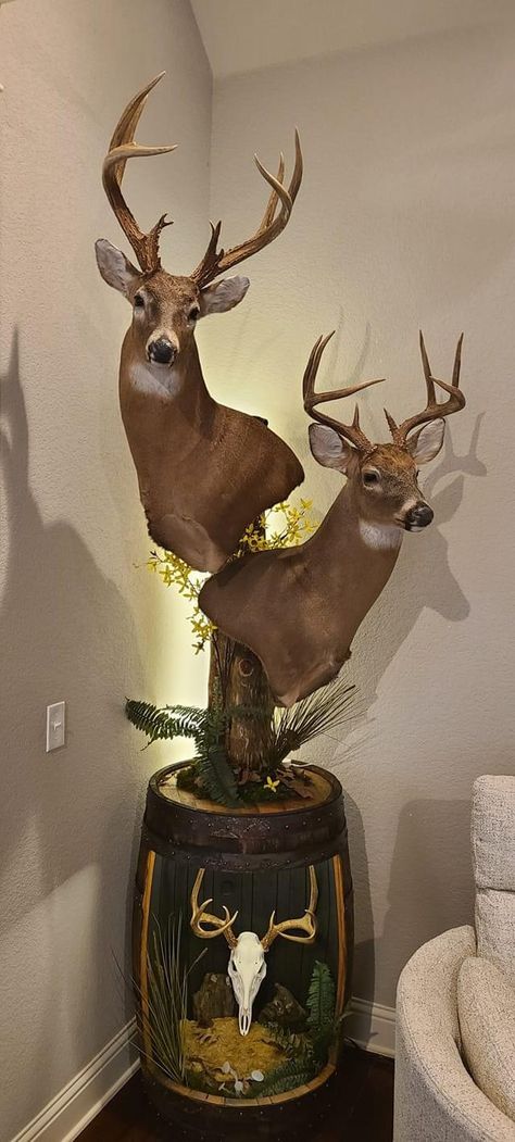 Deer Skull Cap Mount Ideas, Buck Mounts Ideas, Mounted Deer Head Decor, Deer Mounts In Living Room, Buck Mounts, European Mount Ideas, Deer Taxidermy, Deer Head Decor, Deer Heads Mount