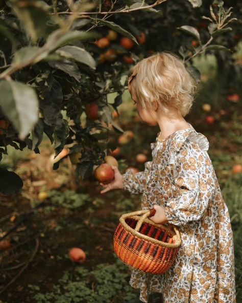 jade dalton-thompson (@jadedt_) • Instagram photos and videos Apple Orchard Photoshoot Family, Apple Picking Photography, Apple Orchard Photography, Apple Orchard Pictures, Apple Picking Photos, Apple Tree Farm, Fall Baby Pictures, Fall 1st Birthdays, Harvest Farm