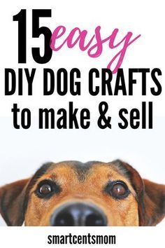 Healthy Dog Treats Homemade, Dog Treats Homemade Recipes, Dog Brain, Dog Ideas, Dog Projects, Dog Crafts, Dog Pet Beds, Dog Items, Crafts To Make And Sell