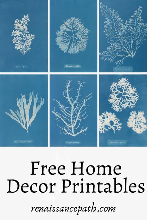 Beautiful Free Home Decor Printables. Vitange printables, botanical printables, farmhouse printables, nautical printables. Coastal Art Prints Free Printable, Beach Prints Wall Art Free, Free Coastal Printables, Canva Printables, Free Nautical Printables, Nautical Printables, Beach Printables, Boho Printables, Home Decor Printables