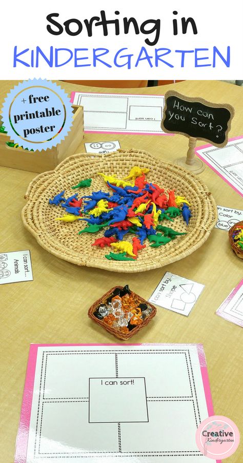 Prek Journals, Kindergarten Sorting Activities, Sorting Kindergarten, Math Sort, Math Kindergarten, Math Patterns, Math Centers Kindergarten, Prek Math, Kindergarten Centers