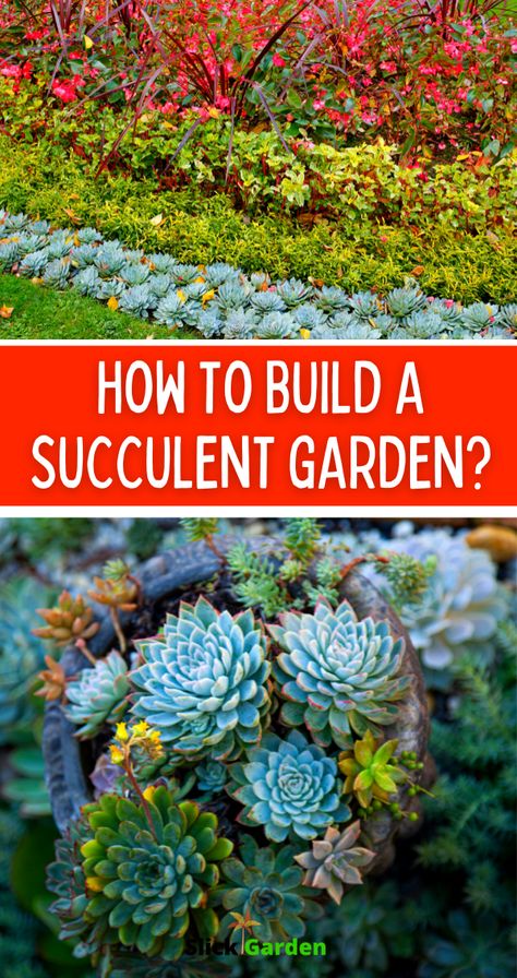 How To Build A Succulent Garden? A succulent garden is an effortless garden that you can build easily. Succulents add beauty to your backyard. The texture and colors of these water-storing plants change the view of your landscape. You can use succulents as a ground cover in your backyard garden. Succulent Backyard Landscape, Succulent Garden Bed Ideas, Succulent And Flower Garden, Succulent Raised Garden Bed, Modern Succulent Landscape Design, Chicks And Hens Succulents Landscapes, Succulent Landscape Design Backyards, Planting Succulents Outdoors In Ground, Succulent Garden Design Outdoors