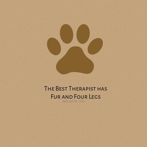 Dog Paw Quotes, Paw Quotes Dog, Paws Quotes, Paw Quotes, Dog Instagram Captions, Pet Quotes Dog, Dogs Quotes, Hand Quotes, Tiny Quotes