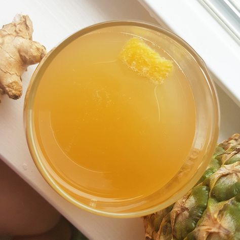 Want to escape to tropical paradise? Pineapple Ginger kombucha is just the drink for you! This recipe offers sweetness, warmth, and carbonation galore! Ginger Kombucha Recipe, Watermelon Kombucha, Pineapple Kombucha, Ginger Kombucha, Kombucha Recipes, Kombucha Starter, Pineapple Ginger, How To Brew Kombucha, Kombucha Recipe