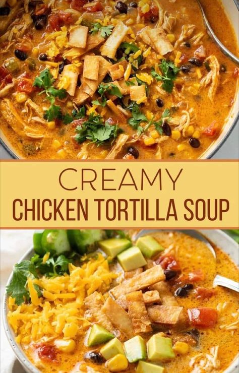 https://thecozycook.com/creamy-chicken-tortilla-soup/?fbclid=IwAR23xgPiwM74sy9oudeq4TLKp05DVEX-sen_qcY35NmOlT17SHU6Rakgedw Crockpot Creamy Chicken Tortilla Soup, Soup Recipes Chicken Tortilla, Crock Pot Tortilla Soup, Best Chicken Tortilla Soup Recipe, Tortilla Soup Crock Pot, Tortilla Soup Chicken, Tortilla Soup Crockpot, Best Chicken Tortilla Soup, Chicken Tortilla Soup Crock Pot