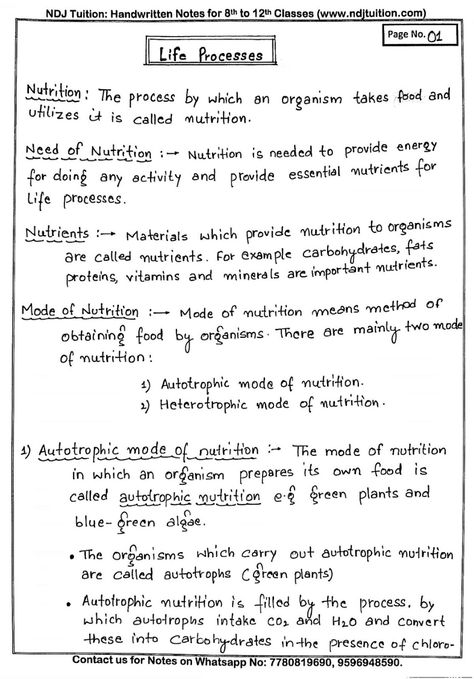 Life Processes Handwritten Notes for Class 10th Notes Class 10 Biology, Class 10 Life Processes Mind Map, Biology Notes Life Processes, Class 10 Biology Notes Chapter 1, How To Study Biology Class 10, Icse Class 10 Biology Notes, Grade 8 Science Notes 1st Quarter, Life Processes Class 10 Mind Map, Chemistry In Everyday Life Notes