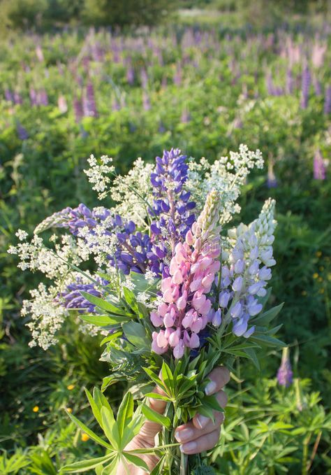 Field Flowers Bouquet, Lavender Party, The Beginning Of Forever, Canterbury Bells, Purple Wedding Decorations, Wildflowers Wedding, Cut Garden, Lupine Flowers, Bridal Bouquet Spring