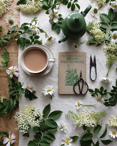 British Wild Flowers, Flat Lay Photography, Floral Photography, A Cup Of Tea, Jolie Photo, Arte Floral, Cup Of Tea, Green Aesthetic, Botany