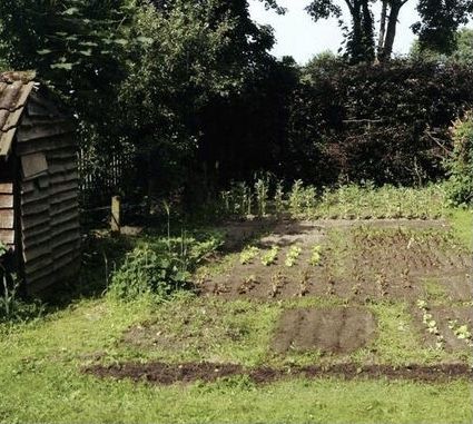 Poor Life Aesthetic, Vintage Homestead Aesthetic, Appalachian Homestead Aesthetic, Old Farm Aesthetic, 80s Farm Aesthetic, Old Farm Astethic, 1870s Homestead, Living Off The Land, Stardew Valley